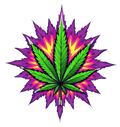 Psychedelic Leaf Tee