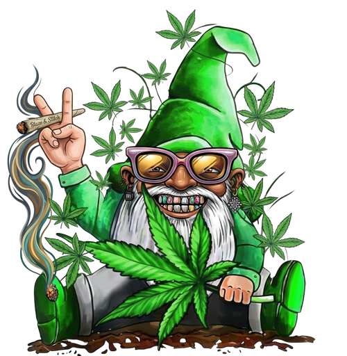 Gnome High Hoodie
